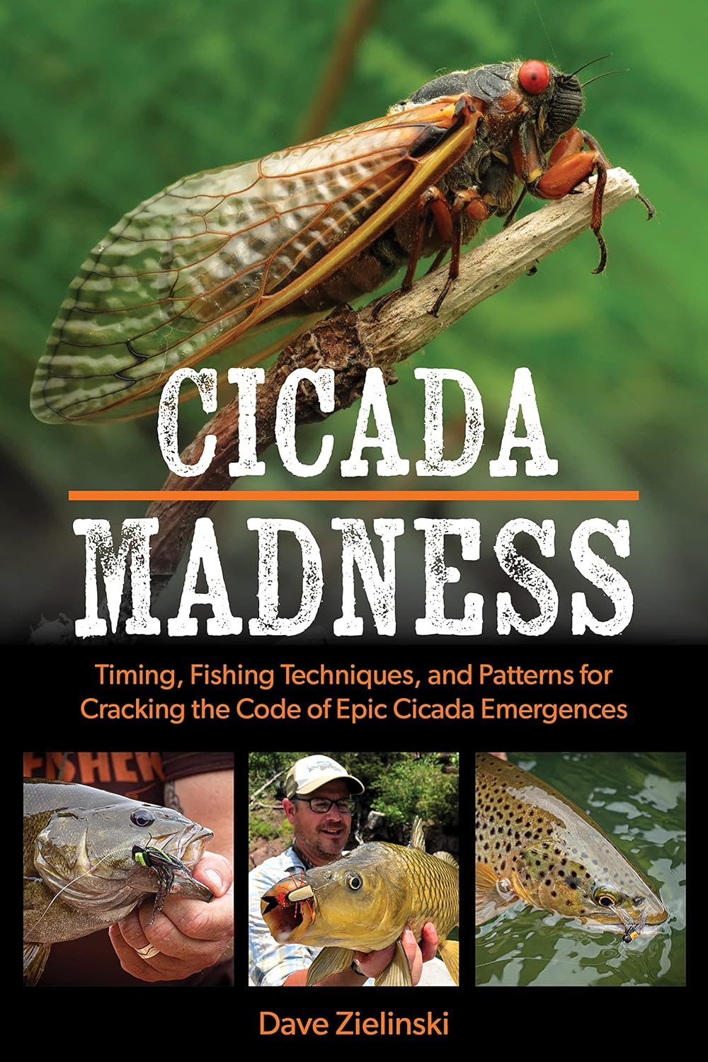 Cicada Madness - Dave Zielinski