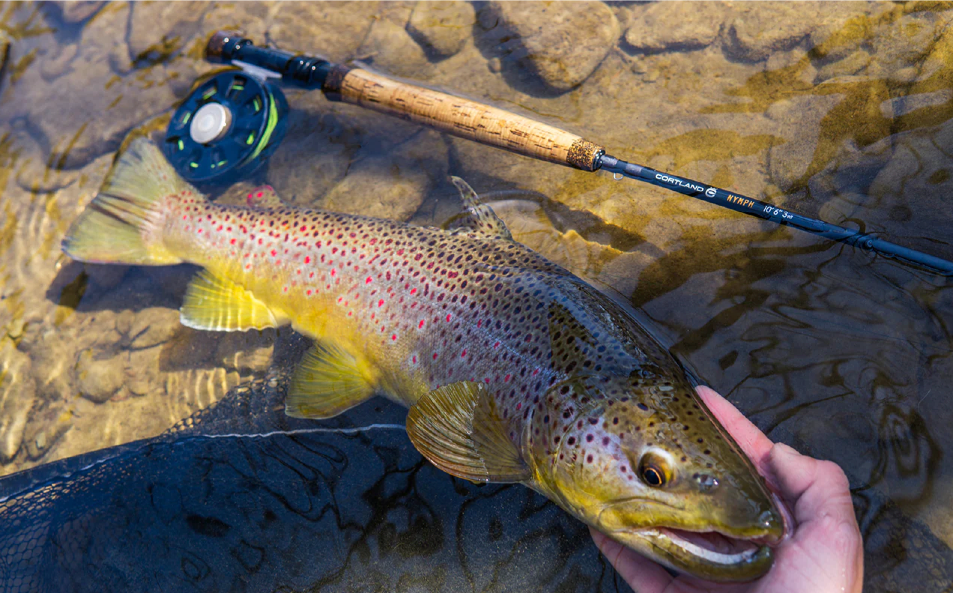 Nymph Series Euro-Style Fly Rod