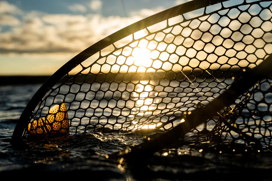 Nomad Boat Net