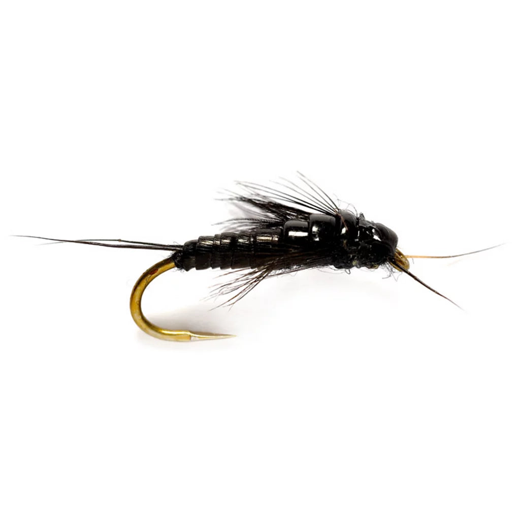 Steelhead 101-3