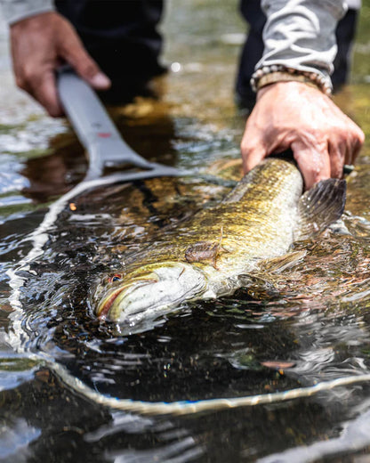 Daymaker Boat Net - Short Handle