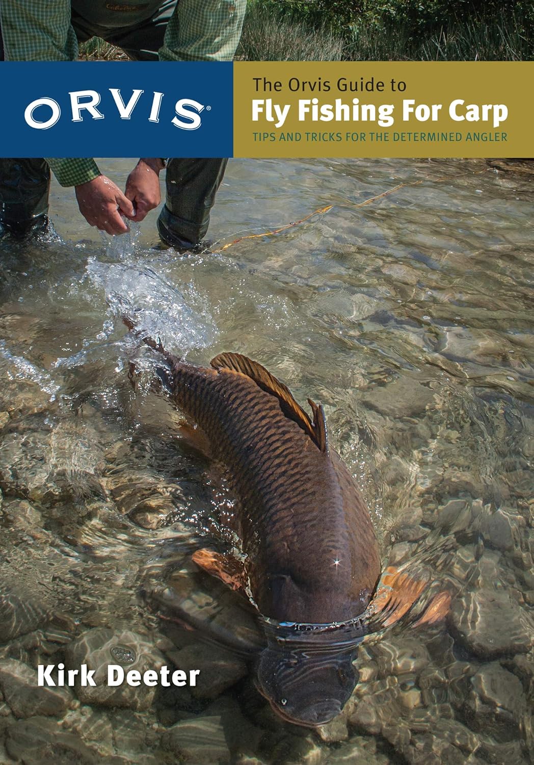 The Orvis Guide to Fly Fishing For Carp