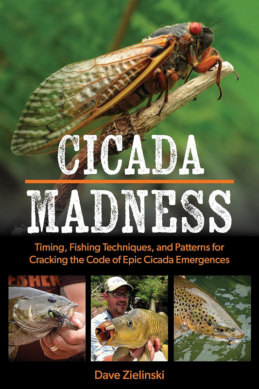 Cicada Madness - Dave Zielinski