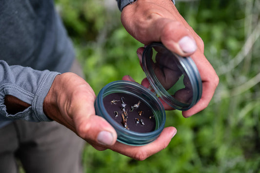 Shallow MagPad Fly Puck