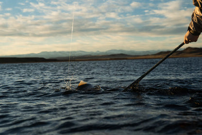 Nomad Boat Net