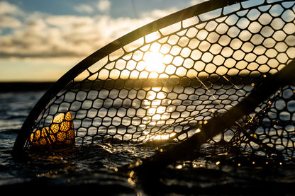 Nomad Boat Net