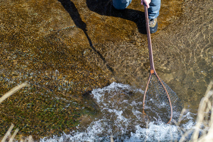 Nomad Yampa Guide Net 2.0