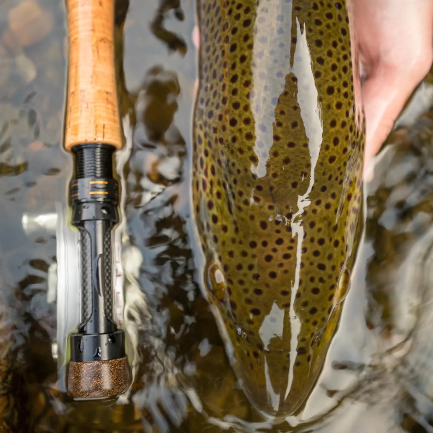 Competition MKII Euro-Style Nymph Fly Rod