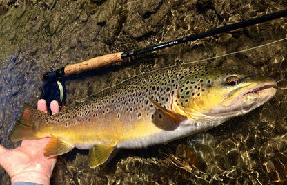 Competition MKII Euro-Style Nymph Fly Rod