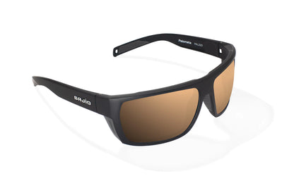Palometa Sunglasses