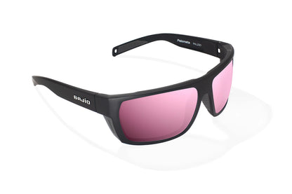 Palometa Sunglasses