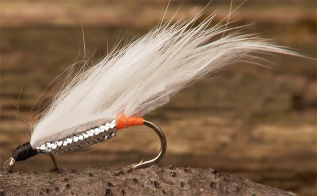 Steelhead 101-4
